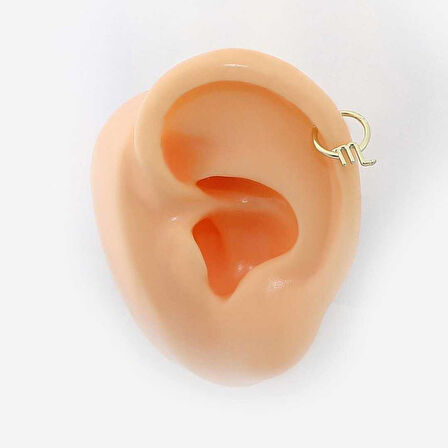 Akrep Burcu Halka  Helix Piercing
