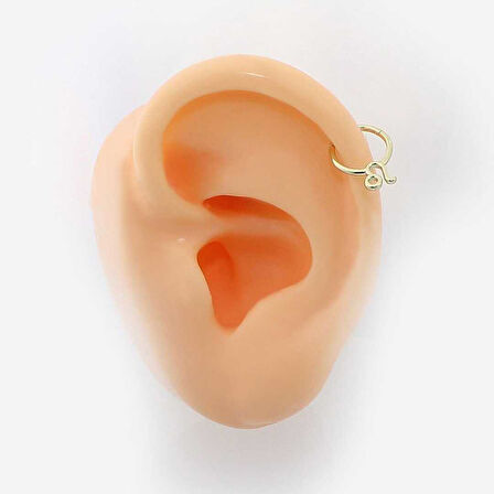 Aslan Burcu Halka Helix Piercing