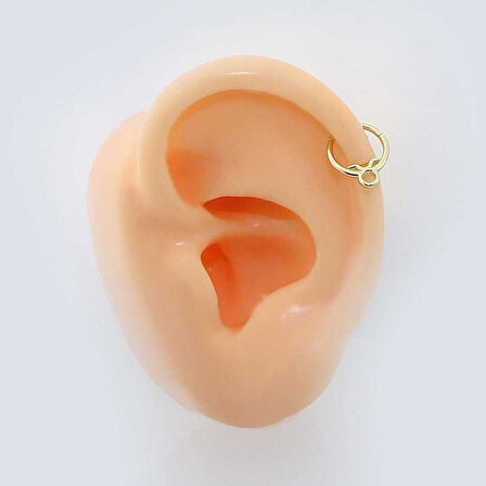 Boğa Burcu Halka Helix Piercing