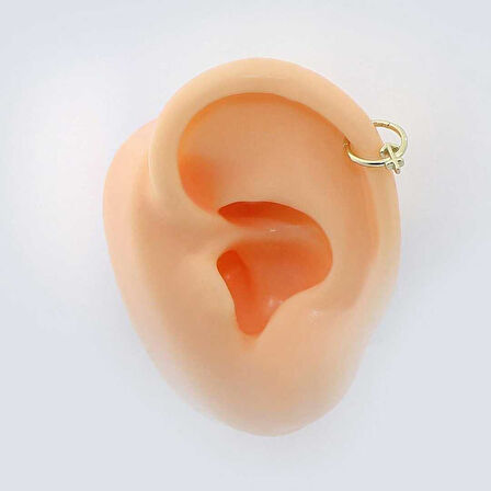 Yay Burcu Halka Helix Piercing