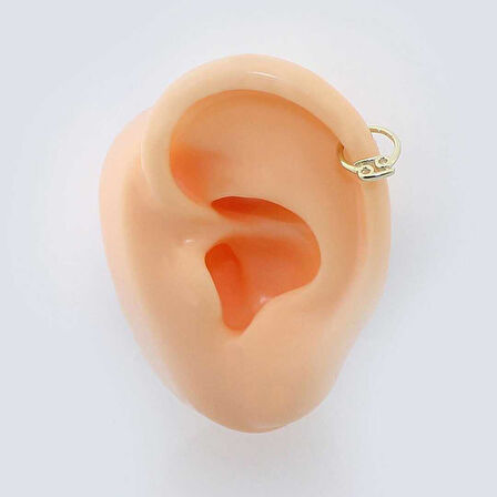 Yengeç Burcu Halka Helix Piercing