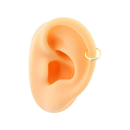 Yılan Motifli Helix Piercing