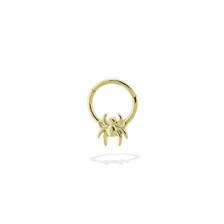 Örümcek Motifli Helix Piercing