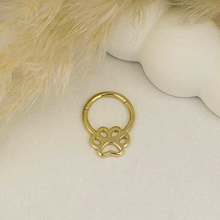 Pati Motifli Helix Piercing