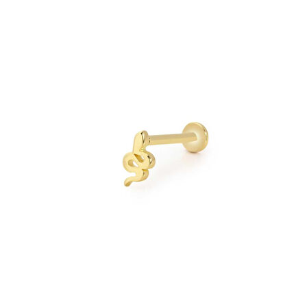 Yılan Desen Küçük Tragus Piercing