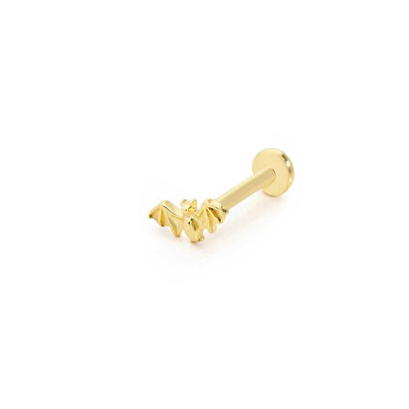 Yarasa Desen Minimal Tragus Piercing