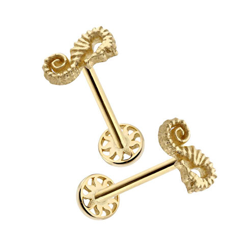 Denizatı Figür Tragus Piercing