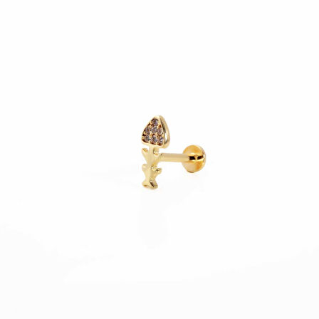 Balık İskeleti Tragus Piercing