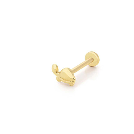 Kaplumbağa Tragus Piercing