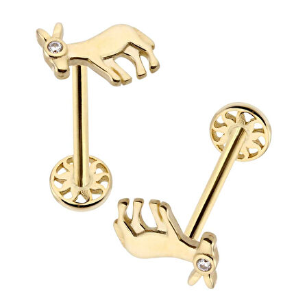 Eşek Tragus Piercing