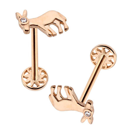 Eşek Tragus Piercing