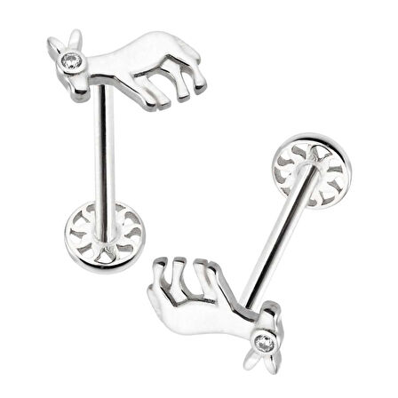 Eşek Tragus Piercing