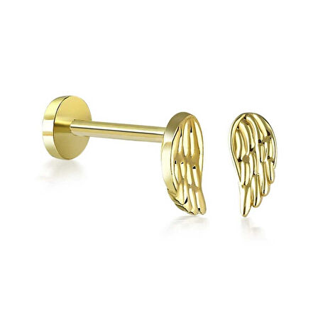 Kanat Model Tragus Piercing