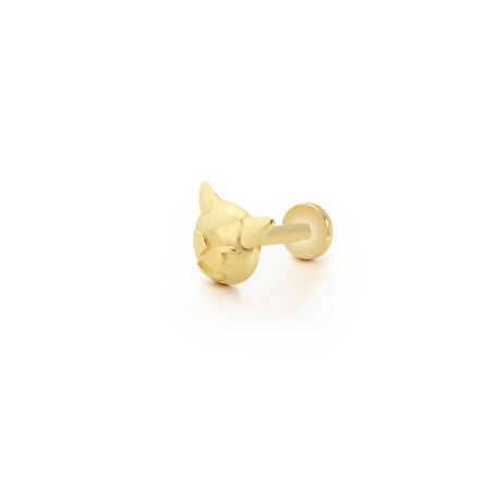 Evil Tragus Piercing