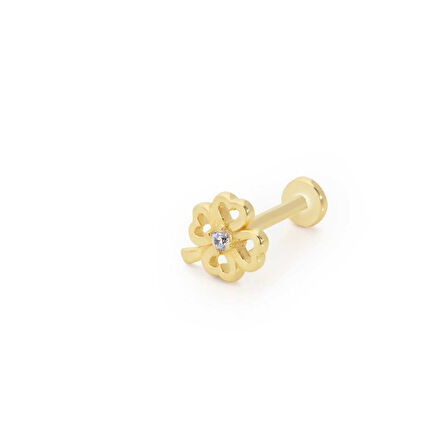 Tektaş Yonca Tragus Piercing