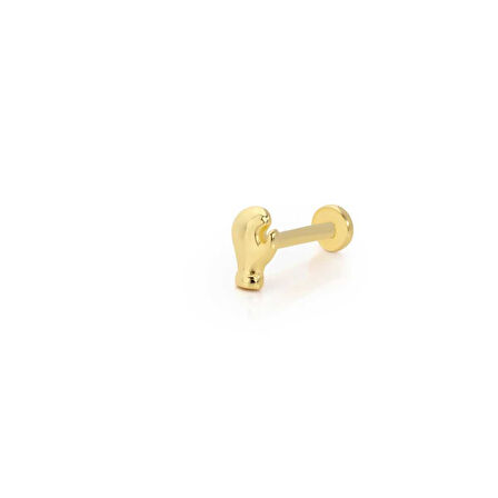 Boks Eldiveni Model Tragus Piercing