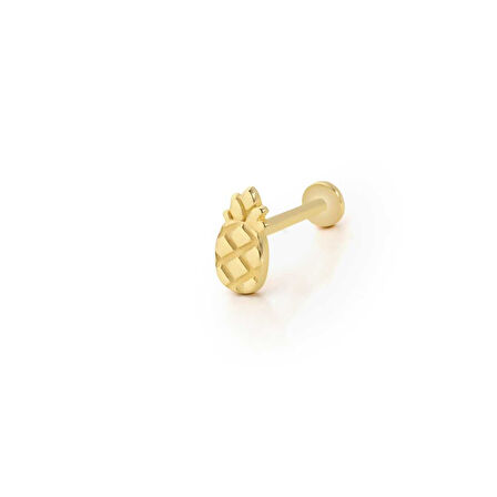 Ananas Model Tragus Piercing