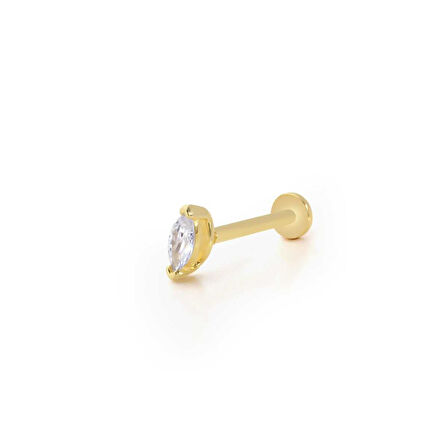 Markiz Tragus Piercing