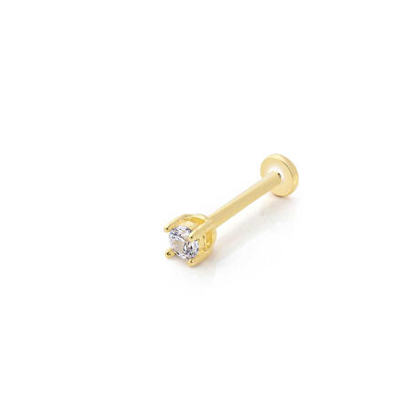 Mini Dört Tırnak Tektaş Tragus