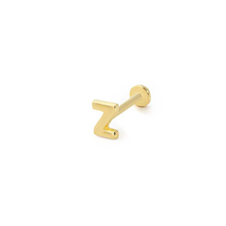 Z Harfi Tragus Piercing