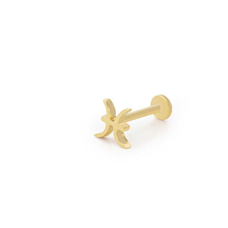 Balık Burç Tragus Piercing