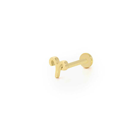 Koç Burç Tragus Piercing