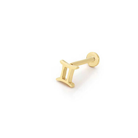 İkizler Burç Tragus Piercing