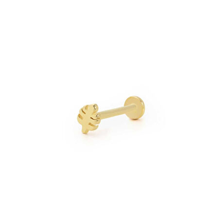 Yaprak Figür Tragus Piercing