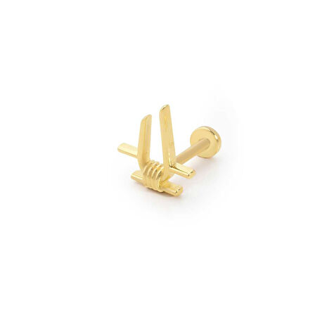 Sarmal Geometrik Model Tragus Piercing
