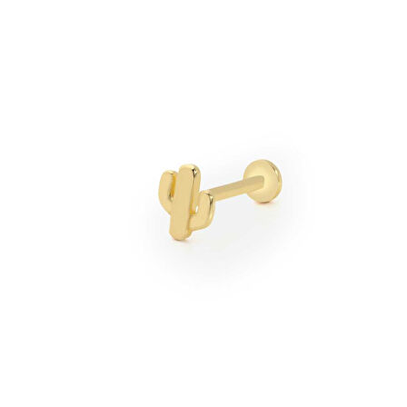 Kısa Boy Kaktüs Model Tragus Piercing