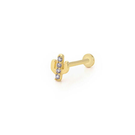 Üç Taşlı Kaktüs Model Tragus Piercing