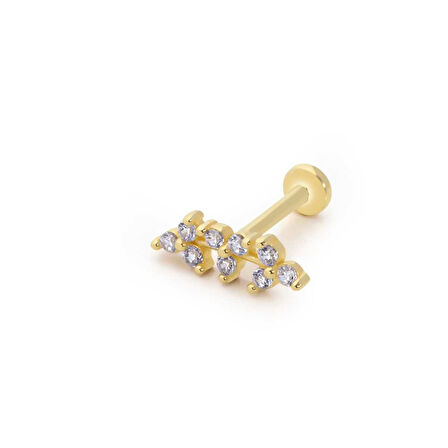 Shining Leaf Tragus Piercing