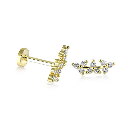 Shining Leaf Tragus Piercing