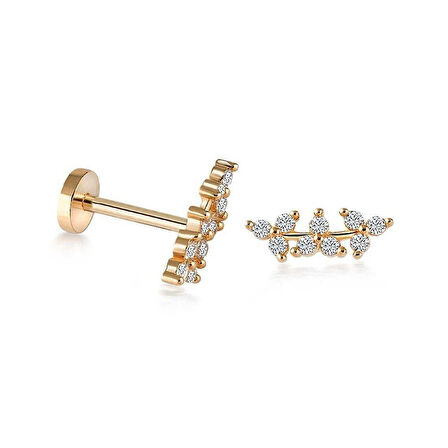 Shining Leaf Tragus Piercing