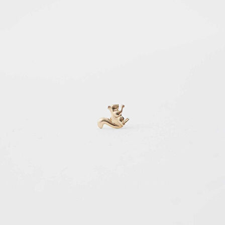 Sincap Tragus Piercing