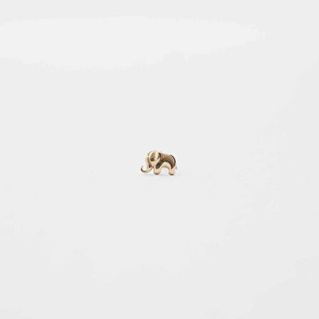 Fil Tragus