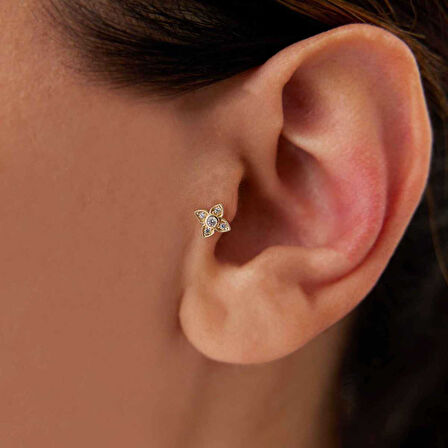 Çiçek Tragus