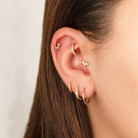 Dog Tragus Piercing