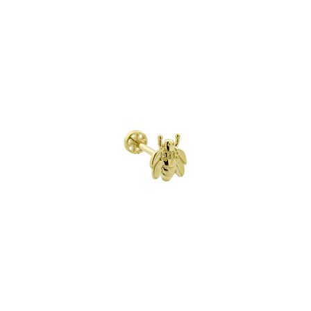 Arı Motifli Minimal Tragus Piercing