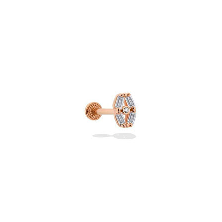 Terrier  Tragus Piercing
