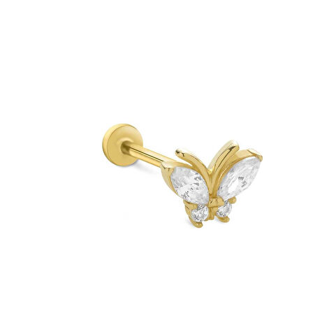 Markiz Kelebek Tragus