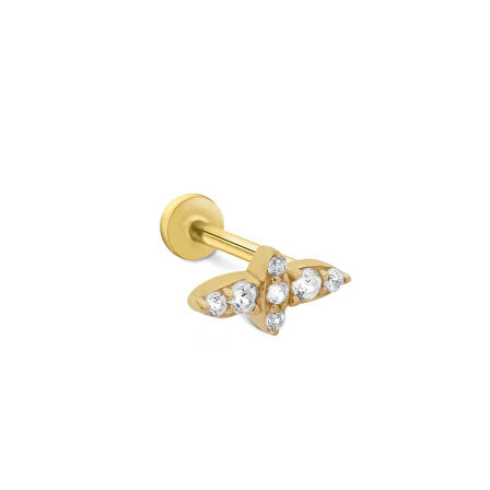 Dessa Tragus Piercing