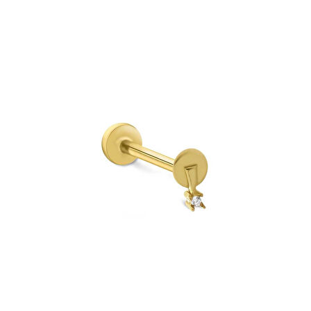 Tina Tragus Piercing