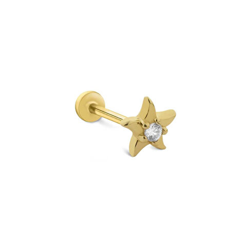Happy Star Tragus Piercing