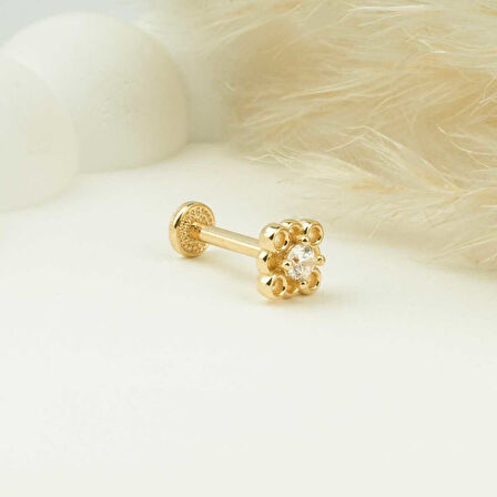Taşlı 4 Daireli Minimal Tragus Piercing