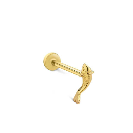Small Balık Tragus