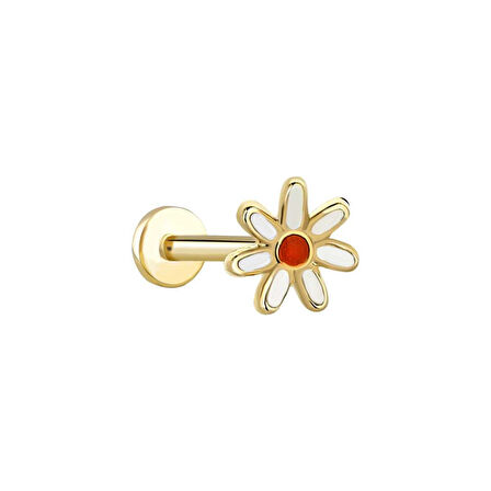 Papatya Tragus Piercing