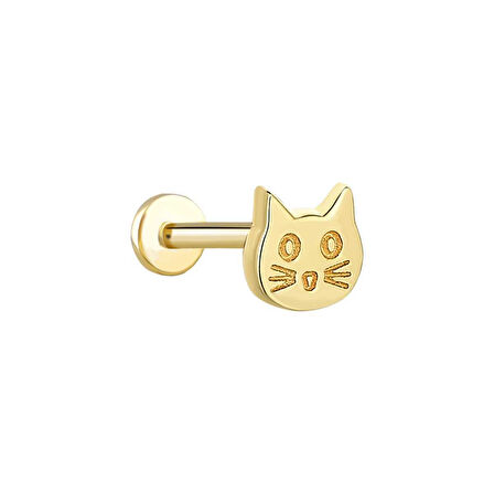 Kedi Tragus Piercing