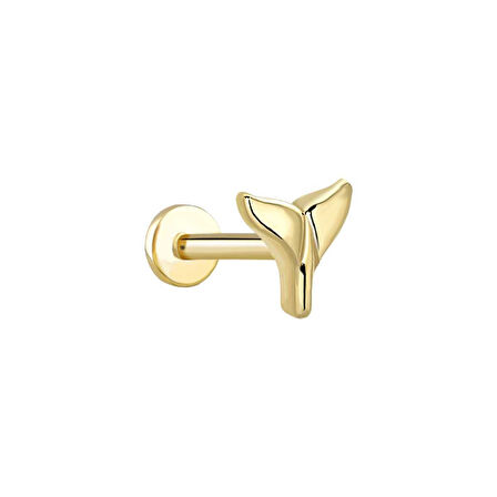 Balık Kuyruğu Tragus Piercing