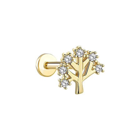 Taşlı Ağaç Tragus Piercing